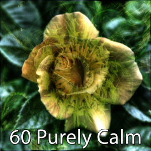 Listen to Clearing the Mind song with lyrics from Baby Lullaby