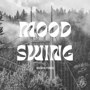 Listen to Mood Swing song with lyrics from Gxldxn Fxnch