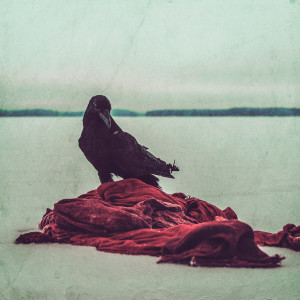 Album Raven Bones oleh Orbiter