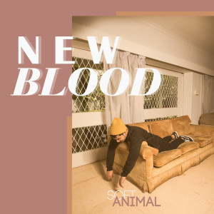 Album New Blood oleh SoftAnimal