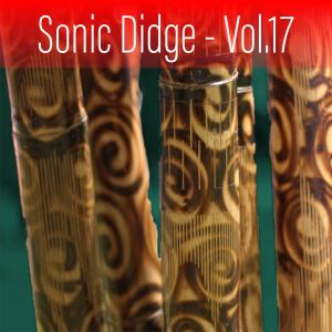Sonic Didge, Vol. 17