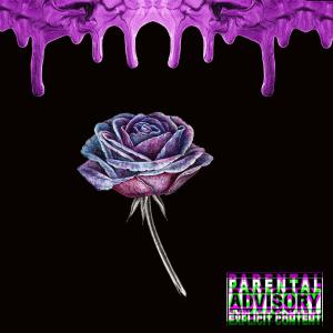 อัลบัม Violets and Roses (Explicit) ศิลปิน TheReal Lil Kush