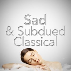 收聽Martin Jacoby的Piano Sonata No. 8 in C Minor, Op. 13 "Pathétique": II. Adagio cantabile歌詞歌曲