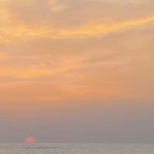 Mac Music的專輯Whole new Day