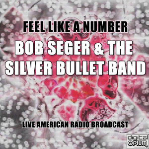 Listen to Against The Wind (Live) song with lyrics from Bob Seger & The Silver Bullet Band