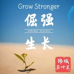 Listen to 倔强生长 (伴奏) song with lyrics from 锦城