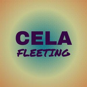 Album Cela Fleeting from Various