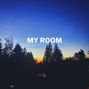 Listen to My Room (Explicit) song with lyrics from Avalos