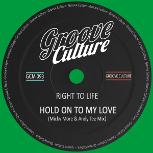Album Hold On To My Love (Micky More & Andy Tee Mix) oleh Right To Life