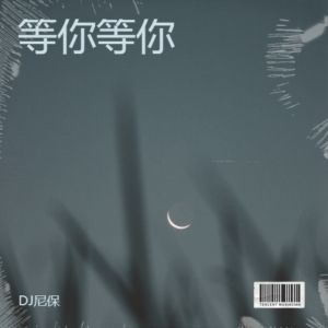 Album 等你等你 from DJ尼保