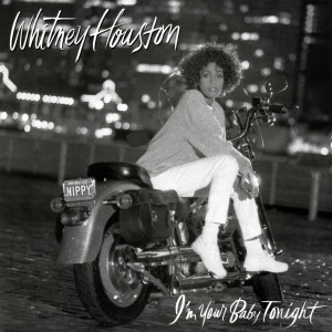 ดาวน์โหลดและฟังเพลง We Didn't Know พร้อมเนื้อเพลงจาก Whitney Houston