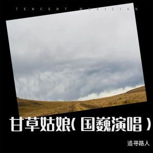 Listen to 甘草姑娘（国巍演唱） (完整版) song with lyrics from 追寻路人