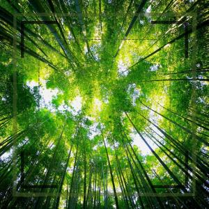 收聽darkone720的The Flow歌詞歌曲