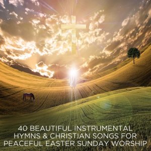 ดาวน์โหลดและฟังเพลง Jesus Remember Me พร้อมเนื้อเพลงจาก Pianissimo Brothers