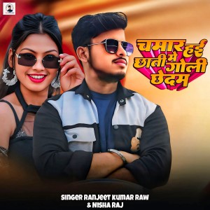 收听Ranjeet Kumar Raw的Chamar Hayi Chhati Me Goli Chhedam歌词歌曲