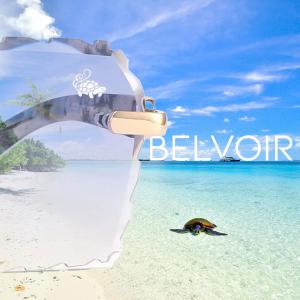Mr Macee的專輯Belvoir (feat. Gabriel Waves)