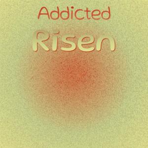 Various Artists的專輯Addicted Risen