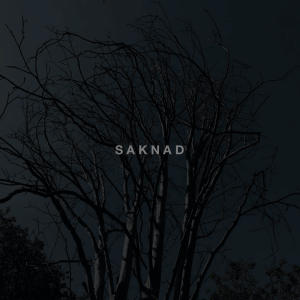 Nightcall的專輯Saknad