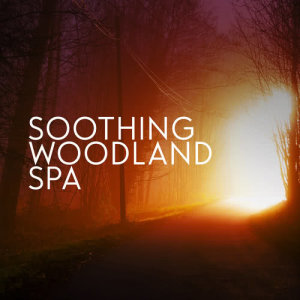 ดาวน์โหลดและฟังเพลง By the Spring พร้อมเนื้อเพลงจาก Nature Spa