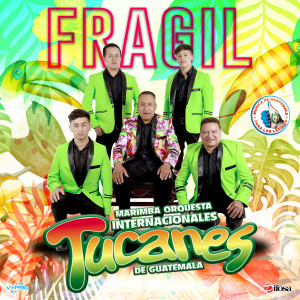 收聽Marimba Orquesta Internacionales Tucanes de Guatemala的El Baile Del Caballito歌詞歌曲