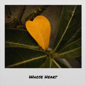 Listen to Whose Heart song with lyrics from Lennar Sinette