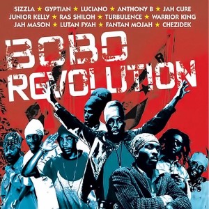 Various Artists的專輯Bobo Revolution