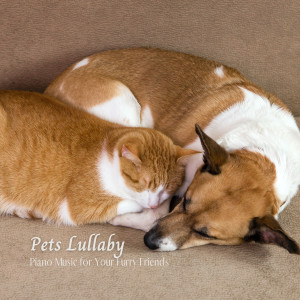 Album Pets Lullaby: Piano Music for Your Furry Friends from Sad Piano Music Collective