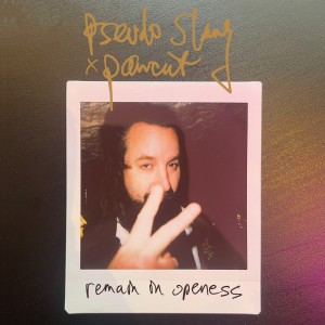 Pseudo Slang的專輯remain in openess