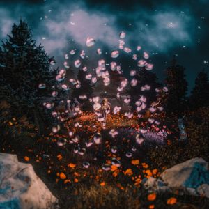 default playlist img