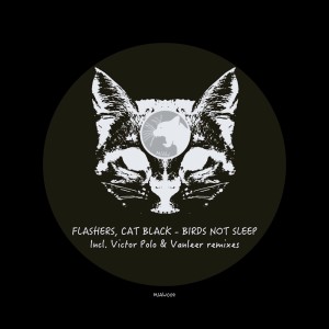 收聽Cat Black的We Don't Sleep歌詞歌曲