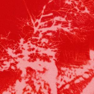 收聽Chillax的Alicia Keys (feat. Lémurien) (Explicit)歌詞歌曲