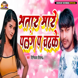 Listen to Bhatar Mare Palang P Chadh Ke song with lyrics from Digvijay Deewana