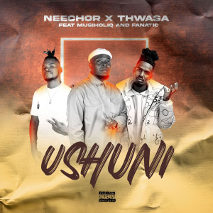 收聽Neechor的Ushuni (Explicit)歌詞歌曲