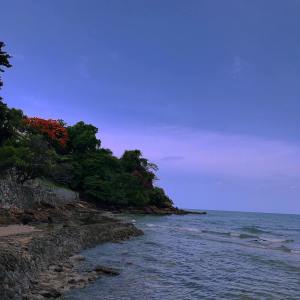Dengarkan Moment of Clarity lagu dari Nature Sounds dengan lirik