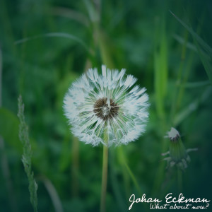 Album What about now? from Johan Eckman