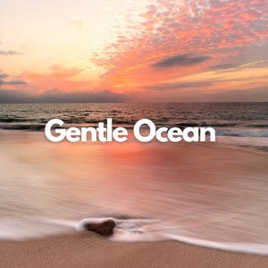 Album Gentle Ocean from Calming Waves