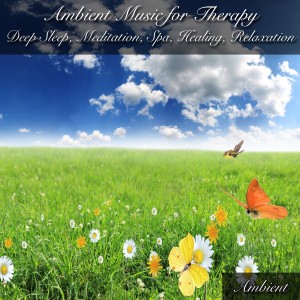 收聽Ambient的Mindfulness歌詞歌曲