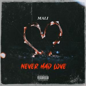 ดาวน์โหลดและฟังเพลง Never Had Love (Explicit) พร้อมเนื้อเพลงจาก Mali
