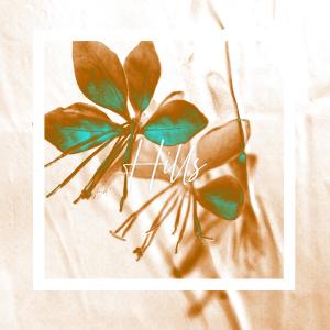 ดาวน์โหลดและฟังเพลง Hills พร้อมเนื้อเพลงจาก Blue Cat Guy