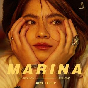 อัลบัม ไม่มีเหตุผล (feat. นายนะ) ศิลปิน MARINA