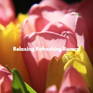 อัลบัม Relaxing Refreshing Record ศิลปิน Musik zum Lernen