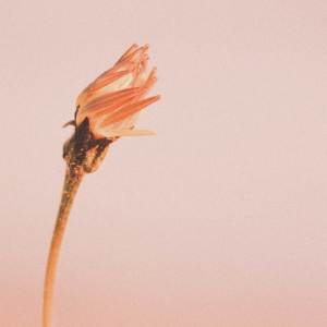 อัลบัม The Things We've Said and Done ศิลปิน Infralyd