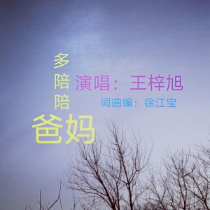 王梓旭的专辑多陪陪爸妈