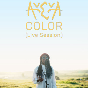 Dengarkan Color (Live Session) lagu dari AvevA dengan lirik