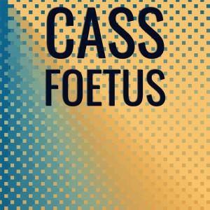Listen to Firebox Gully song with lyrics from Betina Crma