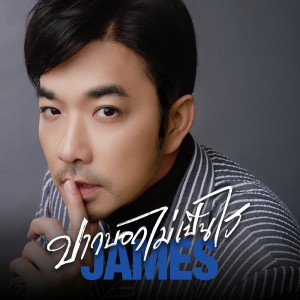 Listen to ปากบอกไม่เป็นไร song with lyrics from James Ruangsak