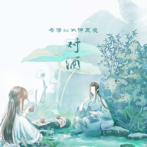 收听平纱落雁的对酒 (伴奏)歌词歌曲