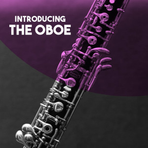 Dengarkan lagu Oboe Concerto in D Minor, S. Z799: I. Andante spiccatto nyanyian Camerata Rhenania dengan lirik