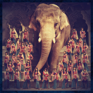 ดาวน์โหลดและฟังเพลง 君は何キャラット？ พร้อมเนื้อเพลงจาก Last Idol