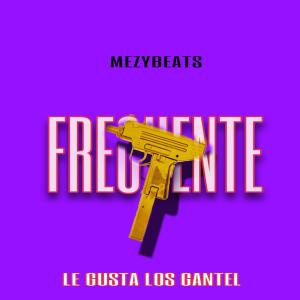 ดาวน์โหลดและฟังเพลง LE GUSTA LOS GANTEL FRECUENTE HR (Explicit) พร้อมเนื้อเพลงจาก MezyBeats